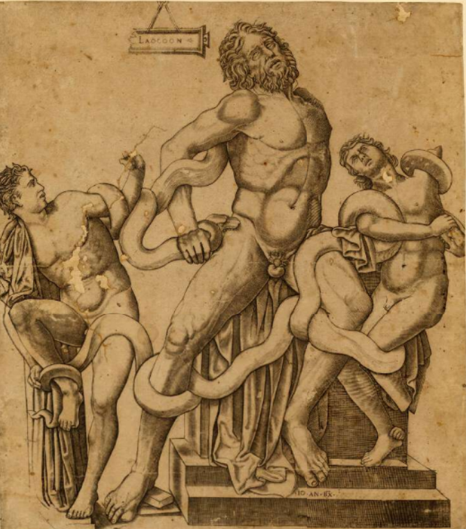 Drawing of the original Laocoon statue group in the Vatican Museum