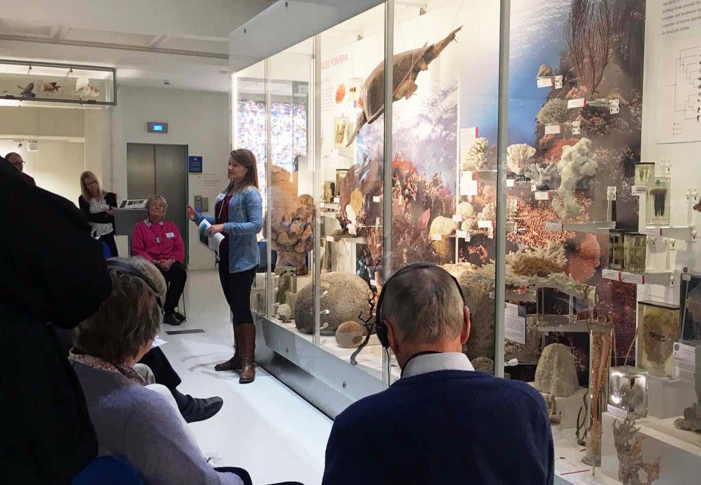 People listening to a presentation in the Museum of Zoology