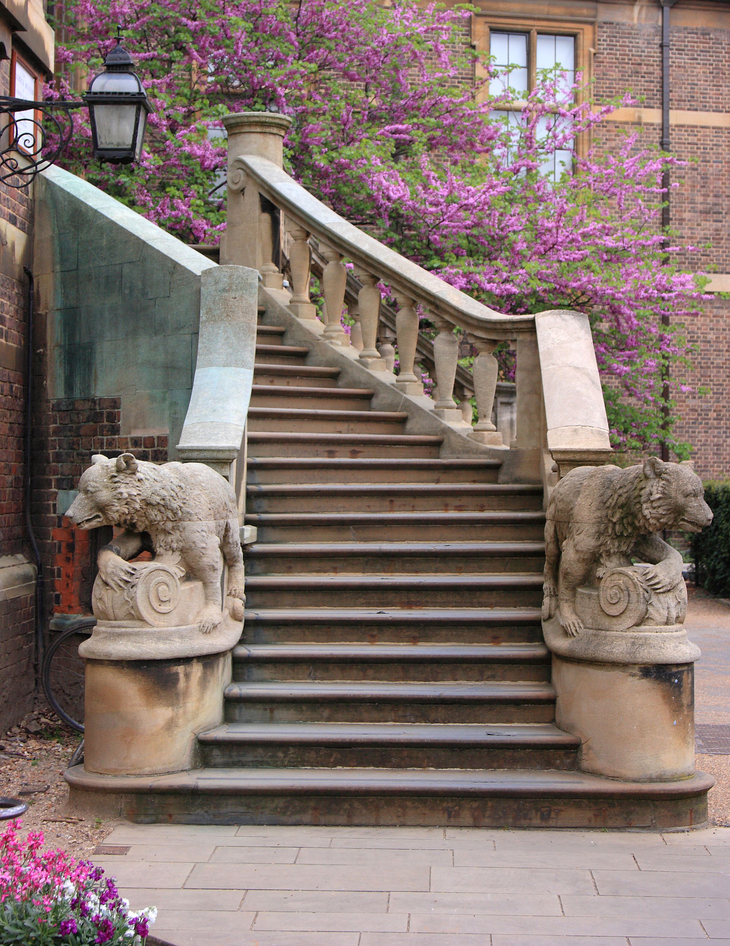 Stairs leading up to the Sedgwick Museum