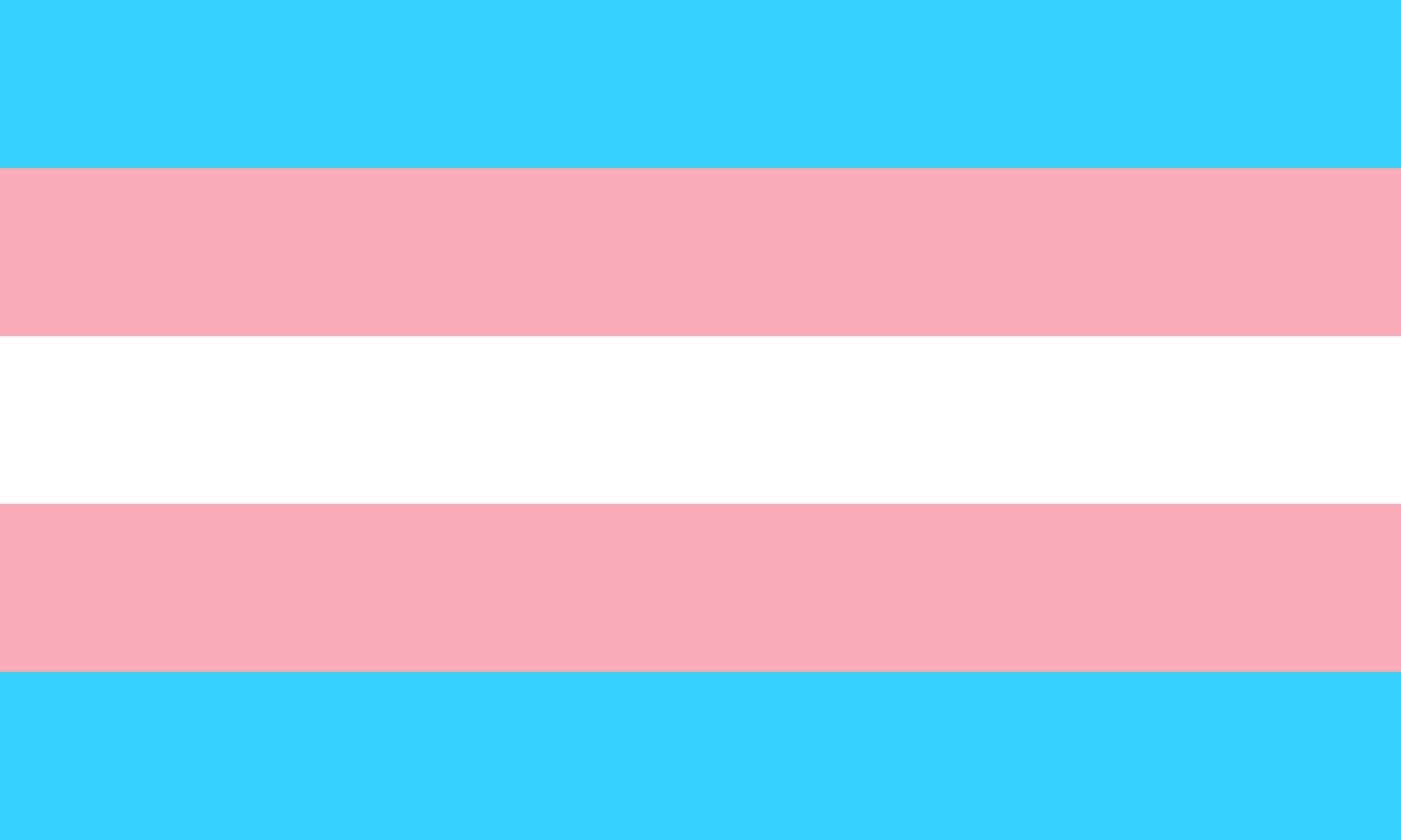 Horizontal striped flag, with a white stripe in the middle flanked by a pink then a blue stripe either side.