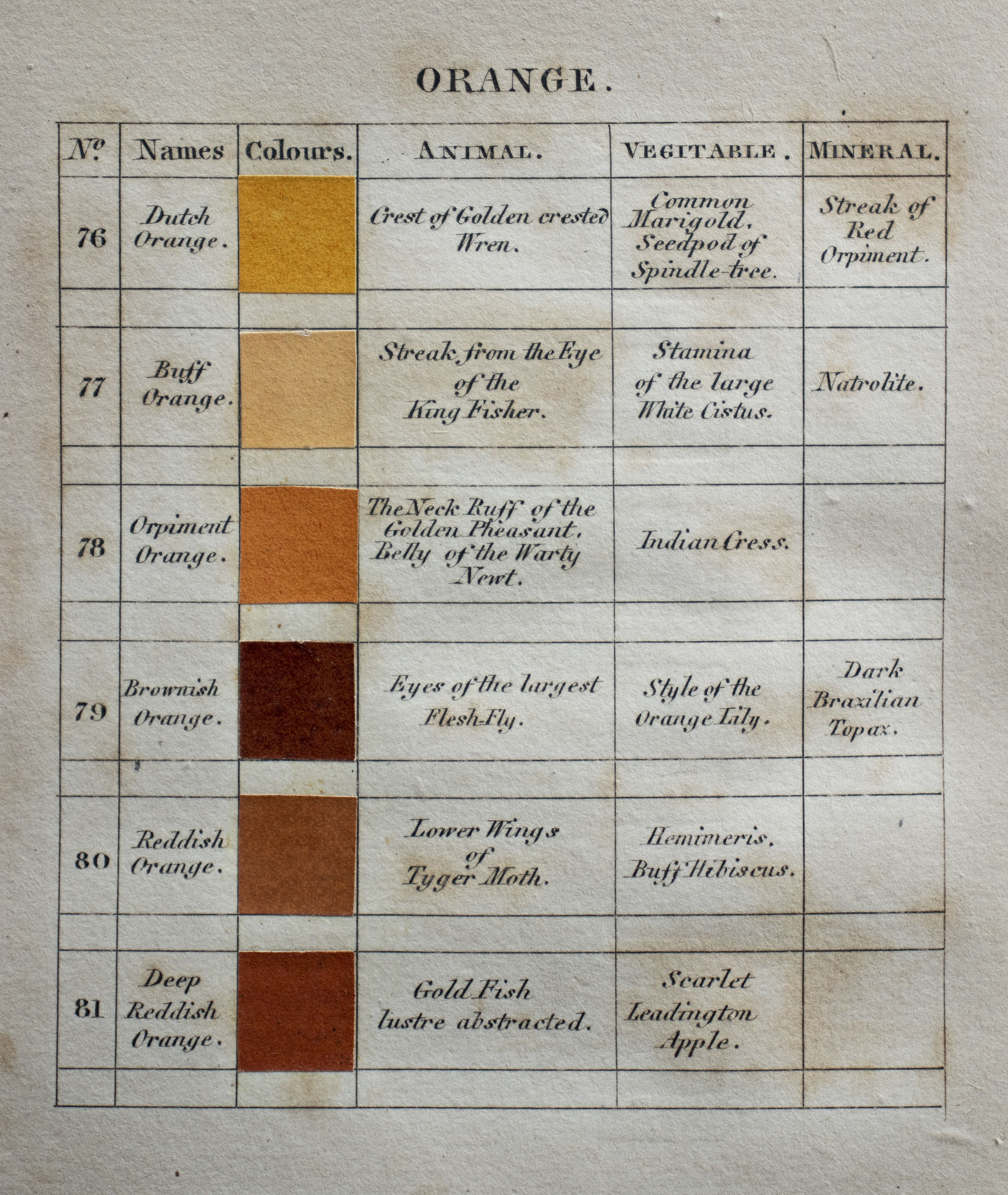 A page from Werner's Nomenclature of Colours showing six definitions of orange, from Dutch Orange to Deep Reddish Orange, on a stained paper page. Handwritten classifications show 'Animal', 'Vegetable' and 'Mineral' distinctions.