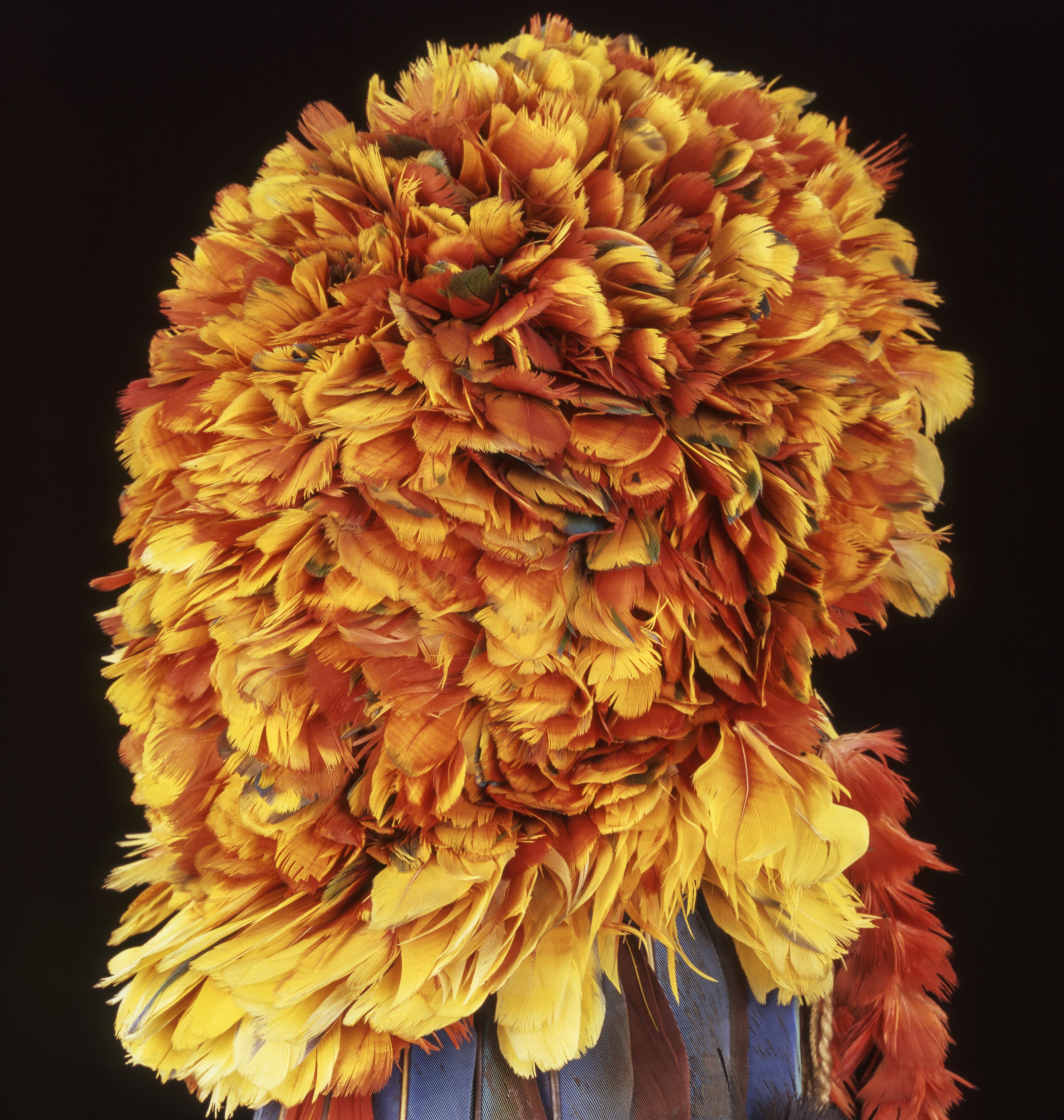 Close up image of a feathered headdress, with vibrant yellow, orange and red feathers visible. Some blue feathers poke through, but very subtly.