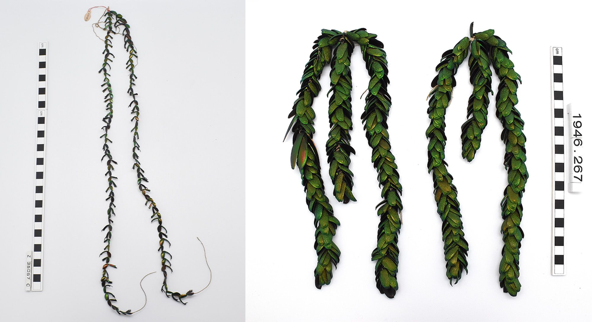 On the left is a long string ear pendant, with many tiny beetle legs in mostly green but other earthy tones throughout. On the right, are two chunky dance ornaments consisting of bright green, iridescent beetle wings. Both have three strings, with two longer and the central one around half the size.