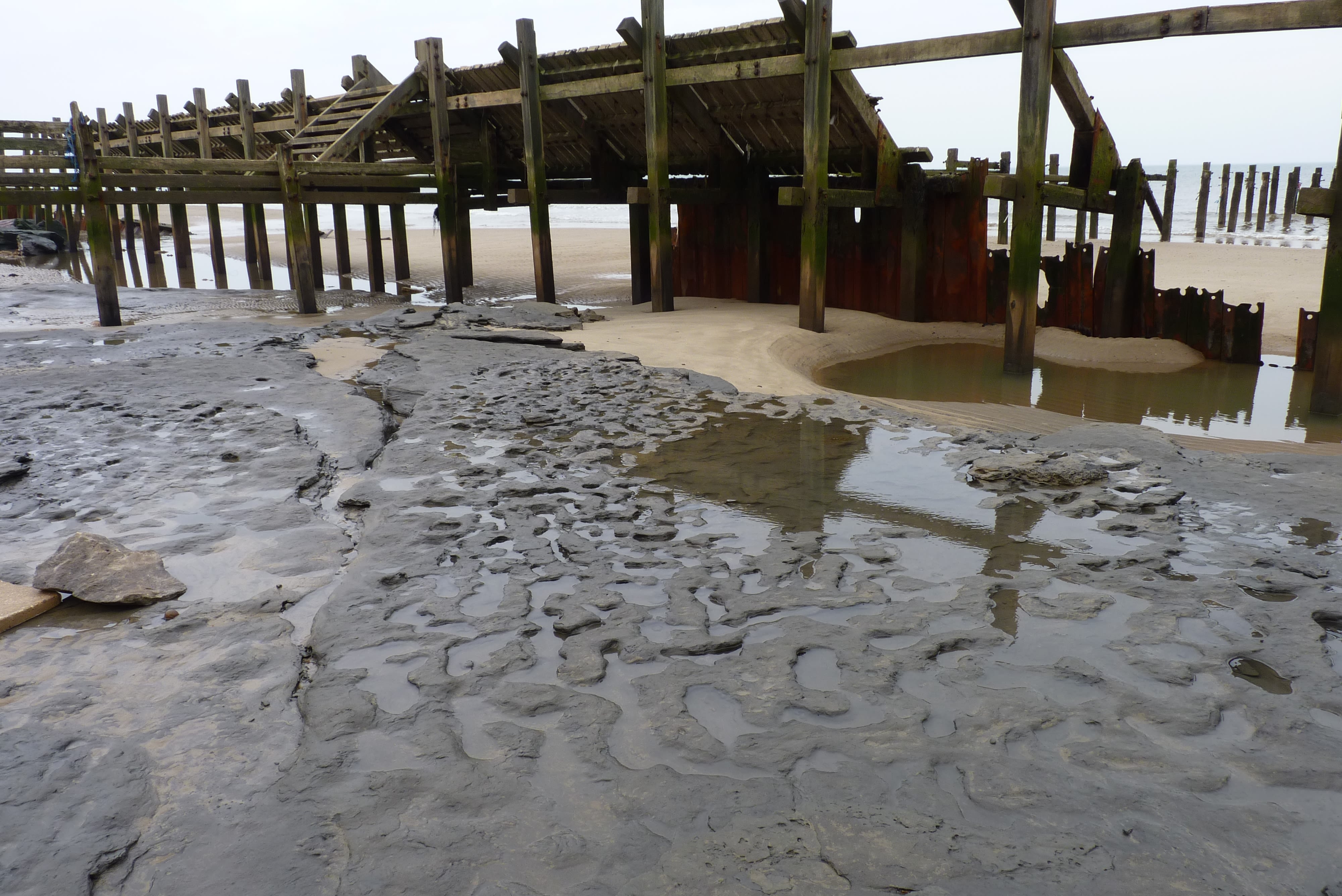 A photograph of mud, with a wooden structure visible and the sea in the distance. Water has pooled in the muddy river, making children's footprints visible.