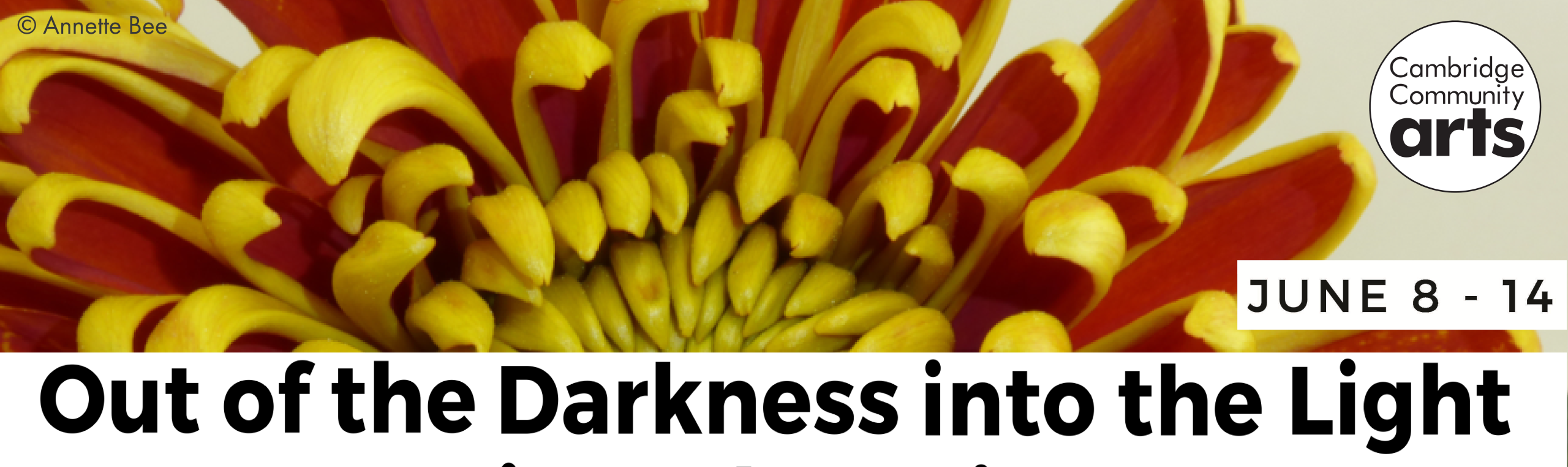 CCA: Out of the Darkness and into the Light June 8-14